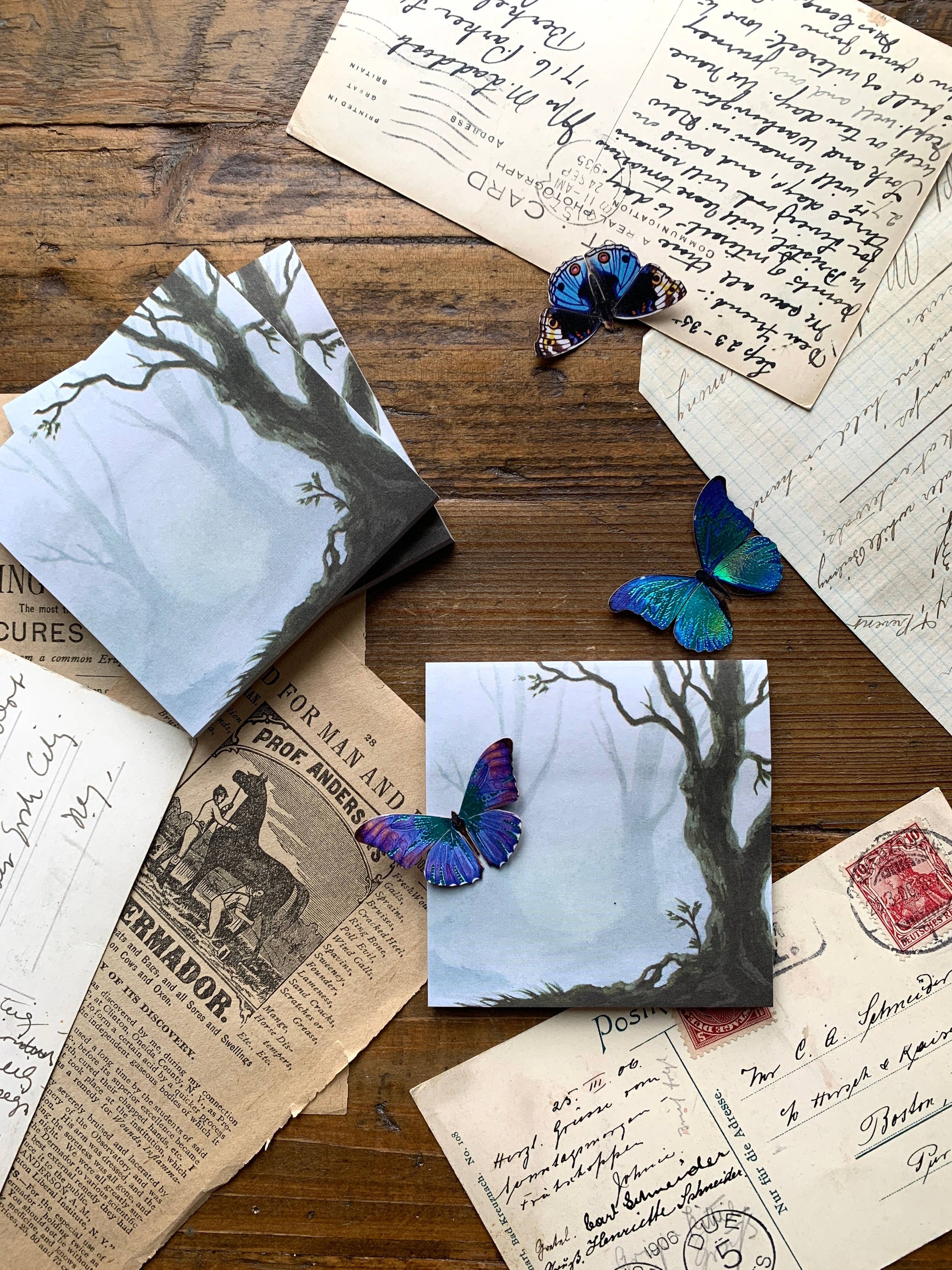 Enchanted woods 3x3" sticky notes