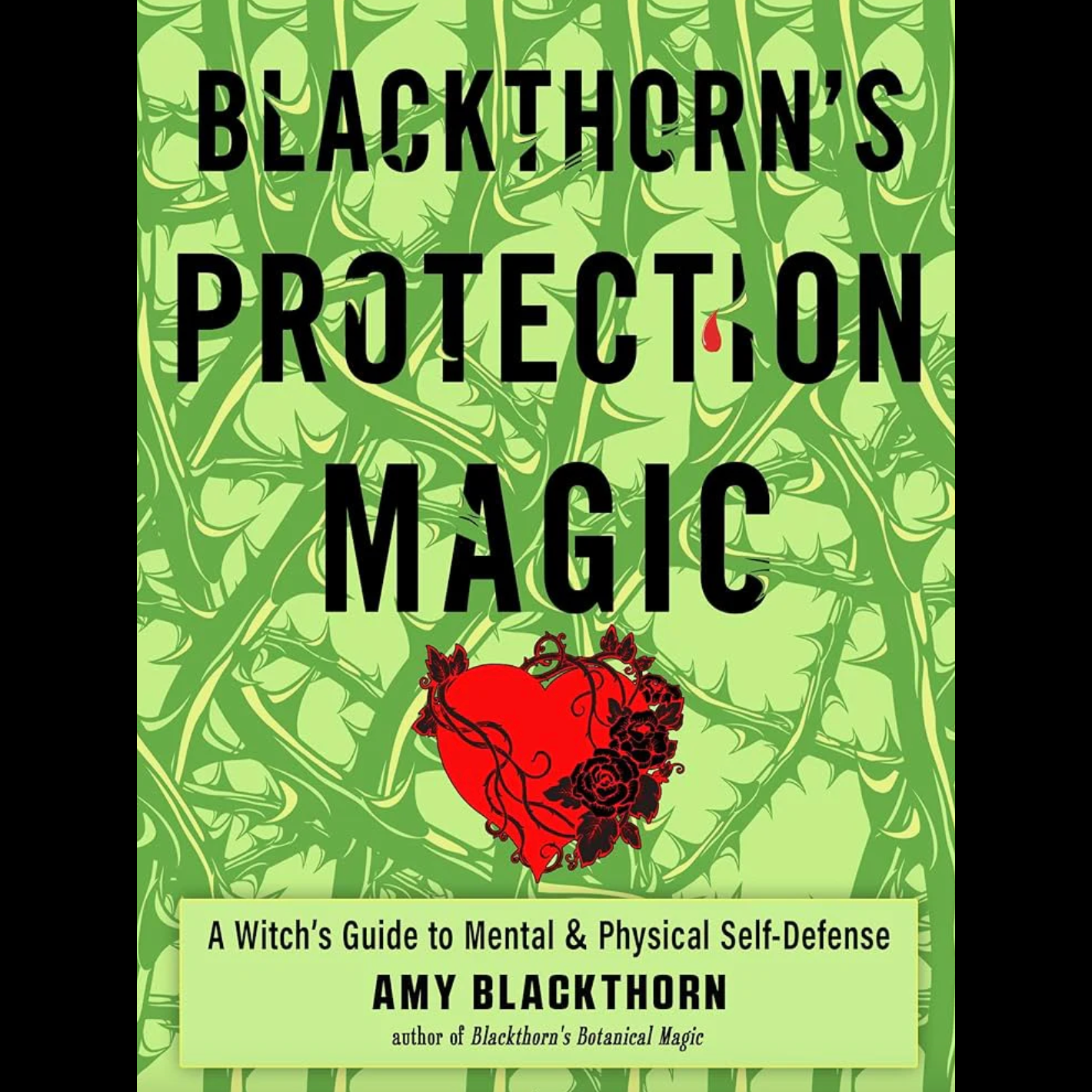 Blackthorn’s Protection Magic