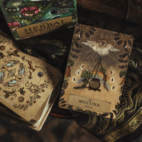 Herbal Astrology Oracle Cards