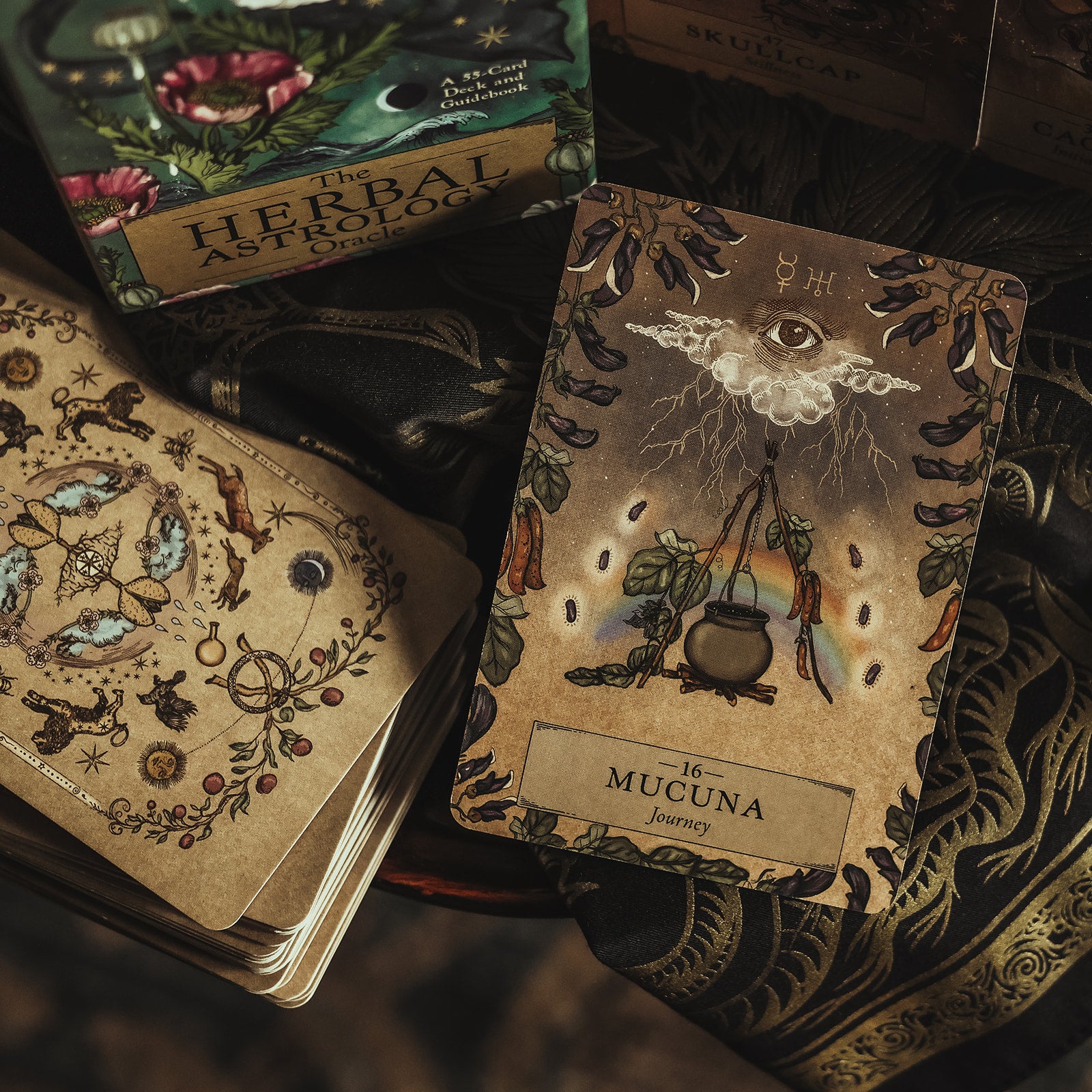 Herbal Astrology Oracle Cards