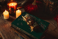 The Botanist - Vegan Notebook