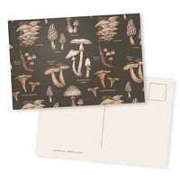 Jessica Roux 4” x 6” Mushroom Pattern Postcard