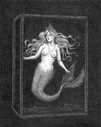 The Siren Fine Art Print - Mermaid