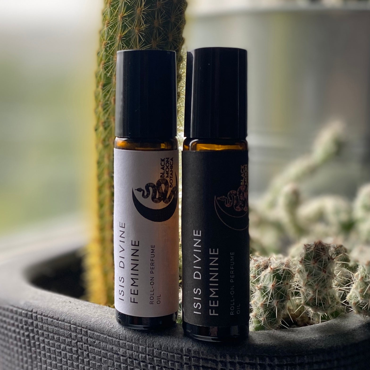 Witch Wood Perfume Oil