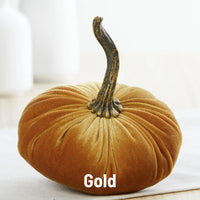 Velvet Pumpkin