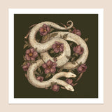 Jessica Roux - Two-Headed Snake Print