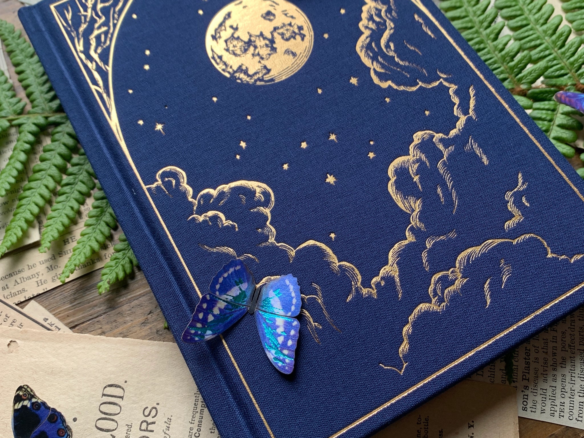 The Astronomer - vegan notebook