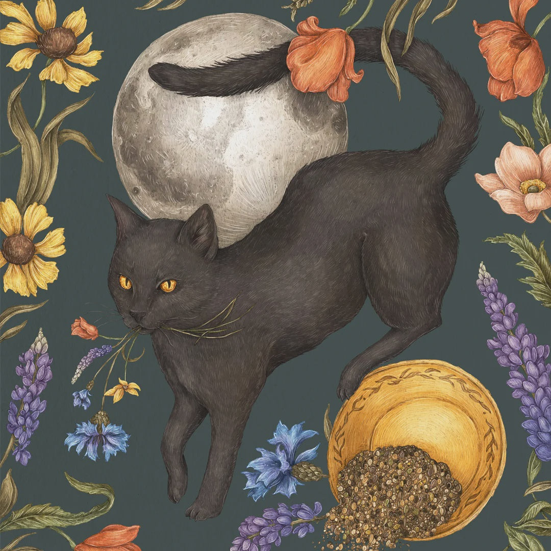 Black Cat and Full Moon Art Print by Jessica Roux