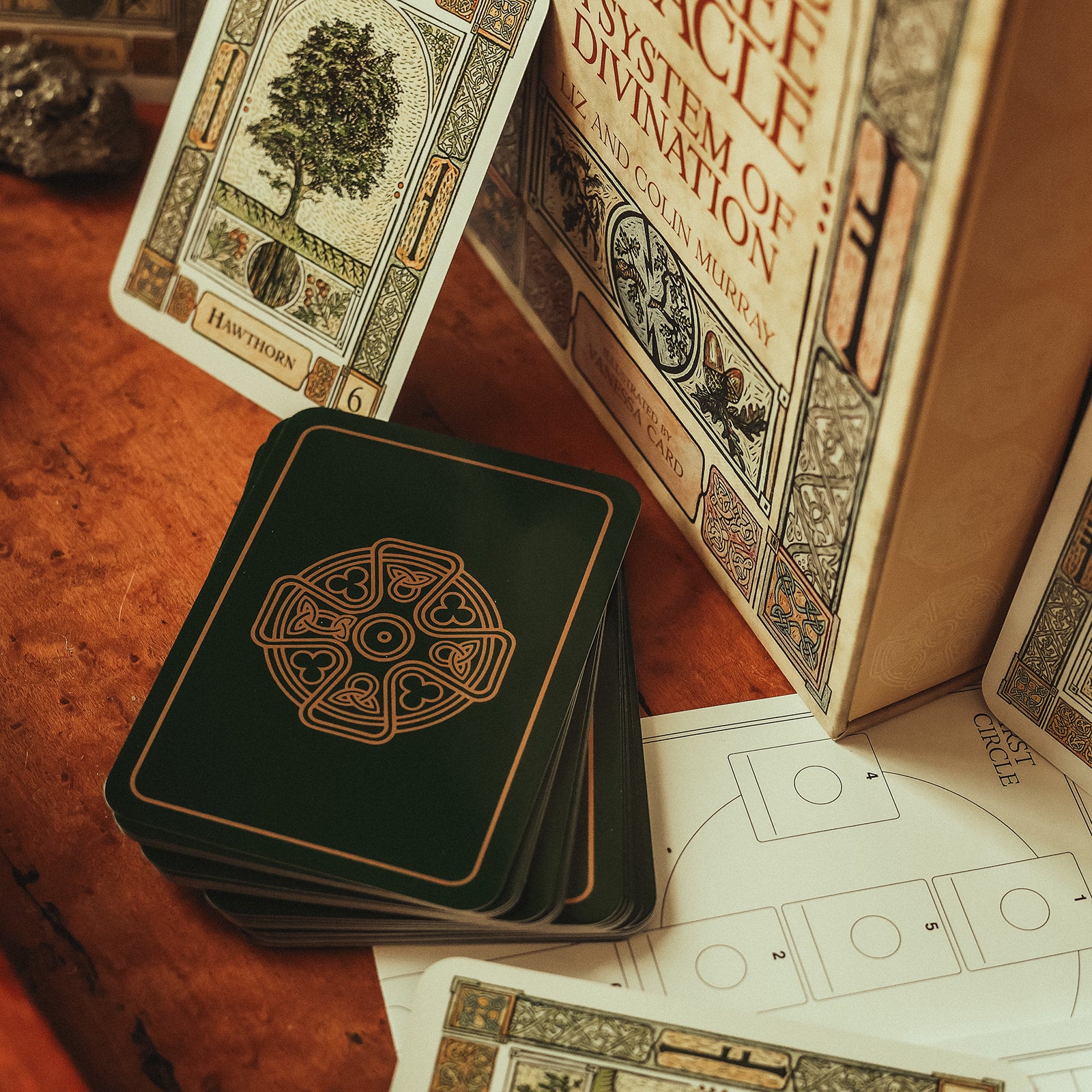 洋書 The Celtic Tree Oracle A System of Divin The Celtic Tree Oracle: A System of Divination: Murray