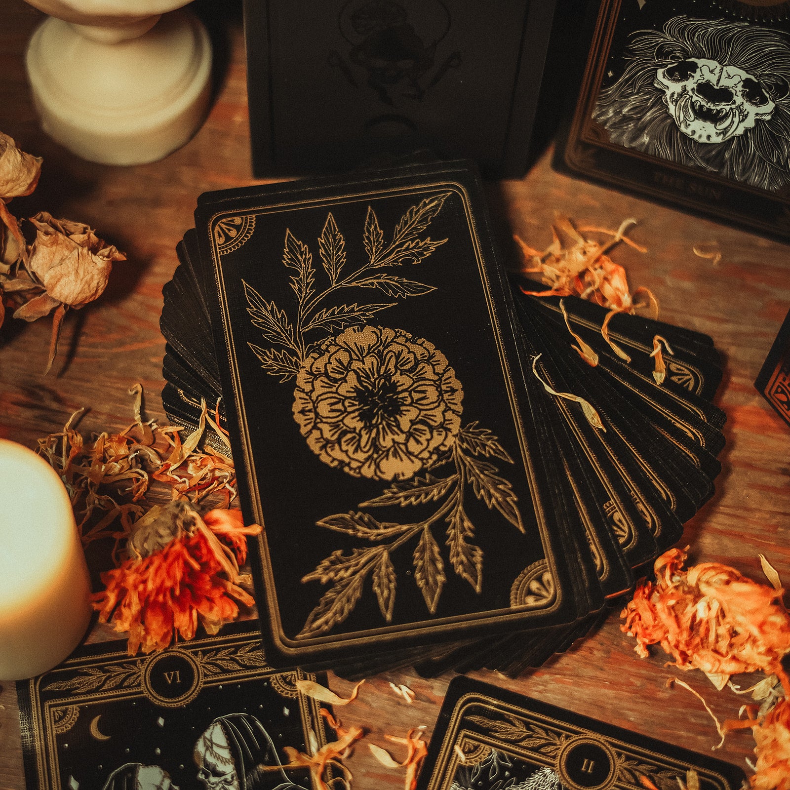 Marigold Tarot - Gold Gilded