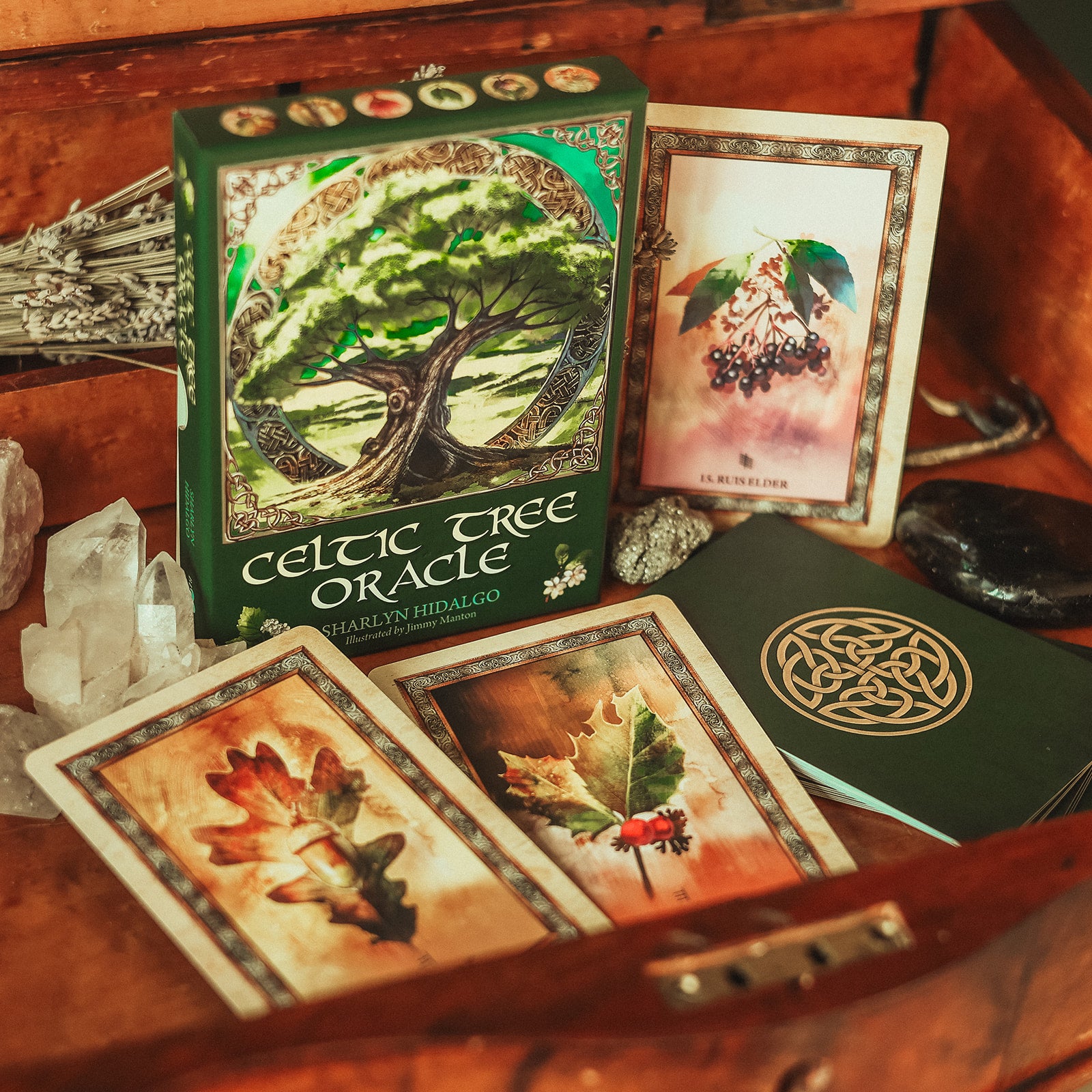Celtic Tree Oracle by Sharyn Hidalgo – Black Moon Botanica Amsterdam