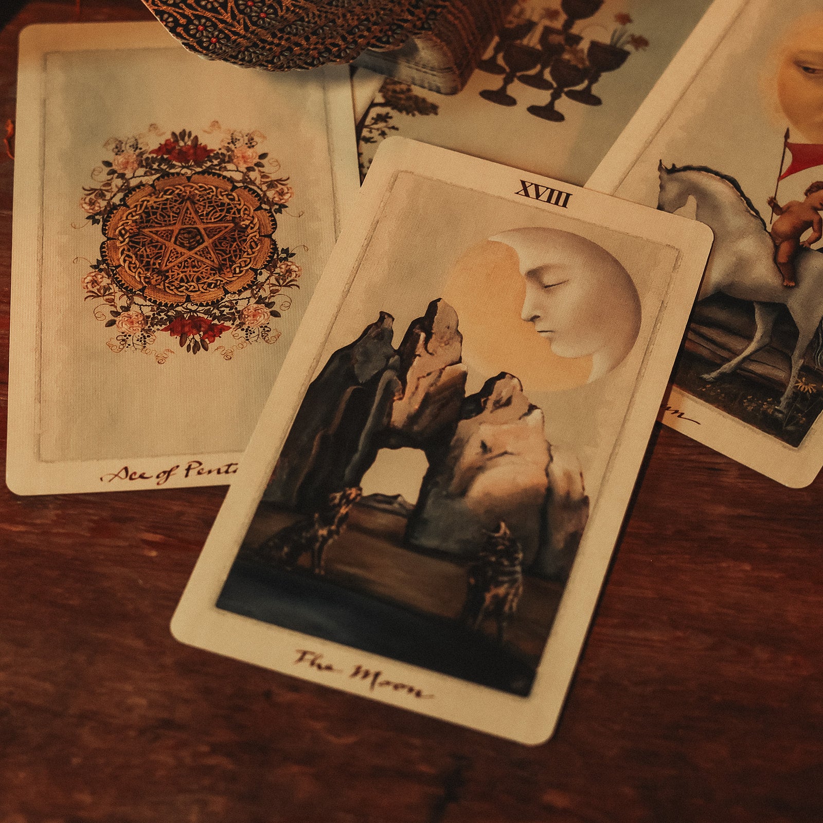 Pagan Otherworlds Tarot Deck – Black Moon Botanica Amsterdam
