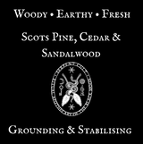 Witch Wood Scented Soy Wax Candle