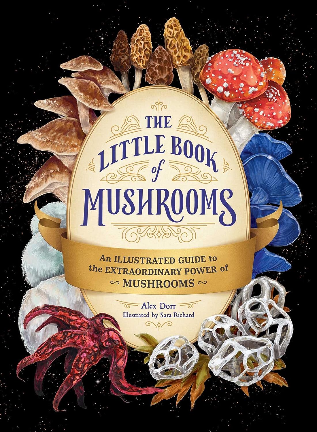 The Little Book of Mushrooms by Alex Dorr