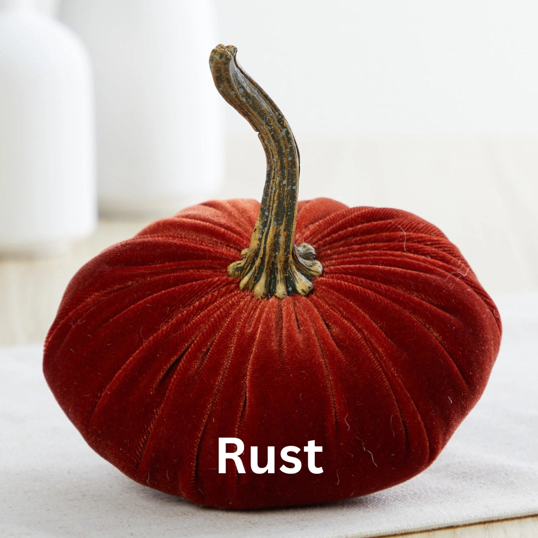 Velvet Pumpkin